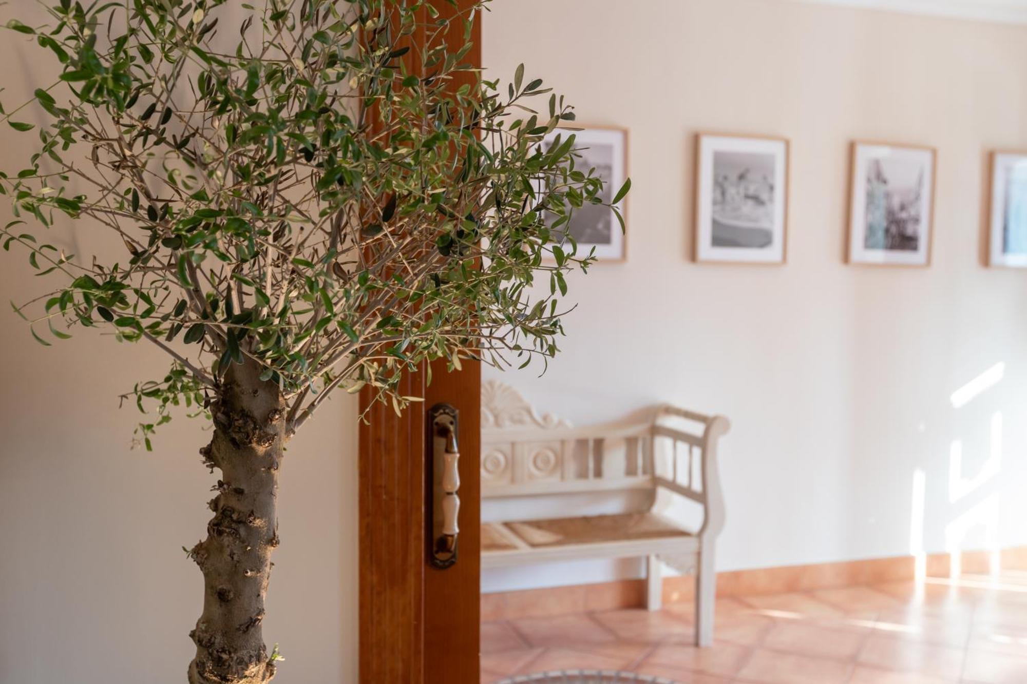 La Casita Del Mar Villa Torremolinos Eksteriør billede